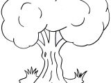 Coloriage D Arbre A Imprimer Gratuit 10 Coloriage Tronc D Arbre Imprimer