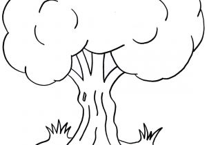 Coloriage D Arbre A Imprimer Gratuit 10 Coloriage Tronc D Arbre Imprimer