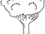 Coloriage D Arbre A Imprimer Gratuit Arbre 19 Nature – Coloriages à Imprimer