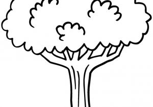 Coloriage D Arbre A Imprimer Gratuit Coloriage Arbre 7 Jecolorie