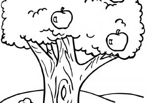 Coloriage D Arbre A Imprimer Gratuit Coloriage Arbre Fruitier Dessin à Imprimer Sur Coloriages