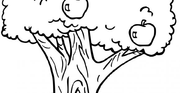 Coloriage D Arbre A Imprimer Gratuit Coloriage Arbre Fruitier Dessin à Imprimer Sur Coloriages