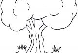 Coloriage D Arbre A Imprimer Gratuit Nos Jeux De Coloriage Arbre à Imprimer Gratuit Page 4 Of 7