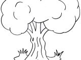 Coloriage D Arbre A Imprimer Gratuit Nos Jeux De Coloriage Arbre à Imprimer Gratuit Page 4 Of 7