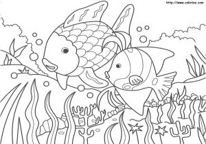 Coloriage D Arc En Ciel Arc En Ciel Poisson Coloriage Coloriage D Arc En Ciel Arc En Ciel Poisson Coloriage