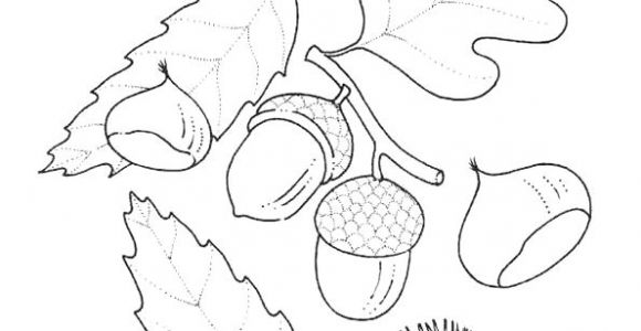 Coloriage D Automne A Imprimer Gratuit 318 Best Coloriages De Fleurs Et Nature Images On Pinterest