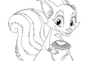 Coloriage D Ecureuil 456 Best ÐÐ¸Ð²Ð¾ÑÐ½ÑÐµ Images On Pinterest
