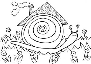 Coloriage D Escargot à Imprimer Belle Coloriage De Slug A Imprimer