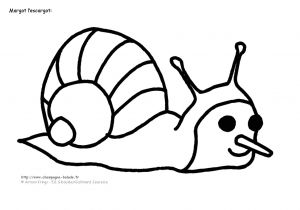 Coloriage D Escargot à Imprimer Coloriage Escargot Ps