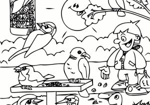Coloriage D été Gratuit Inspiration Coloriage D Oiseaux   Imprimer Gratuitement