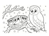 Coloriage D Hiver Gratuit à Imprimer Coloriage Une Chouette Et Ses Enfants Dessin Gratuit à