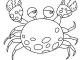 Coloriage D orque à Imprimer 68 Meilleures Images Du Tableau Coloriages Animaux Marins