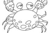 Coloriage D orque A Imprimer 68 Meilleures Images Du Tableau Coloriages Animaux Marins