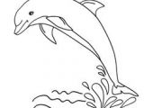 Coloriage D orque A Imprimer 68 Meilleures Images Du Tableau Coloriages Animaux Marins