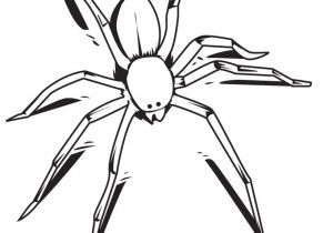 Coloriage D orque A Imprimer Coloriage Dune Grosse Araignée Sauvage Ajoute De La Couleur