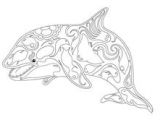 Coloriage D orque à Imprimer Les 28 Meilleures Images De Coloriage