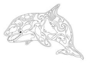 Coloriage D orque A Imprimer Les 28 Meilleures Images De Coloriage