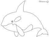 Coloriage D orque Coloriage De orque Coloriage orque Coloriage orque – Redlinesfo