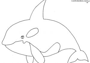 Coloriage D orque Coloriage De orque Coloriage orque Coloriage orque – Redlinesfo