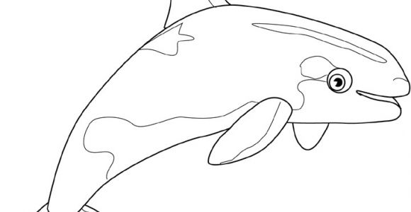 Coloriage D orque Coloriage orque Dessin