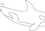Coloriage D orque Dessin   Colorier Un orque Turbulus Jeux Pour Enfants