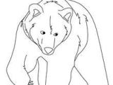 Coloriage D Ours Polaire Imprimer Dessin Dours Polaire Imprimer