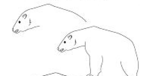 Coloriage D Ours Polaire Imprimer Résultat De Recherche D Images Pour "coloriage Ours Polaire