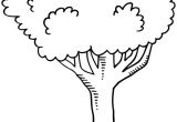 Coloriage D Un Arbre Arbre 19 Nature – Coloriages à Imprimer