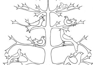 Coloriage D Un Arbre Coloriage D Un Arbre De Vie Graphique Aux 6 Colombes