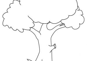 Coloriage D Un Arbre Dessin D Arbre Simple