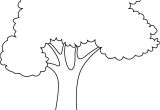 Coloriage D Un Arbre Dessin De Arbre 4