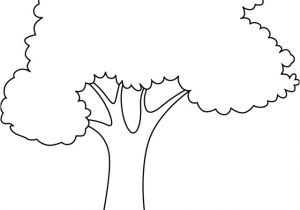 Coloriage D Un Arbre Dessin De Arbre 4
