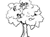 Coloriage D Un Arbre Trees to Print for Free Trees Kids Coloring Pages