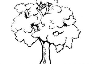 Coloriage D Un Arbre Trees to Print for Free Trees Kids Coloring Pages
