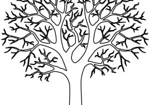Coloriage D Un Arbre Un Arbre Sans Feuilles à Colorier Coloriage