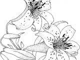 Coloriage D Un Bouquet De Fleurs Dessin   Colorier Bouquet De Fleurs Nature 49