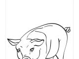 Coloriage D Un Cochon épinglé Sur Cochons Coloriage D Un Cochon épinglé Sur Cochons