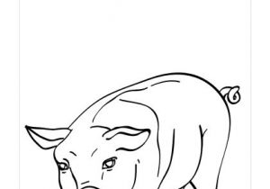 Coloriage D Un Cochon épinglé Sur Cochons Coloriage D Un Cochon épinglé Sur Cochons