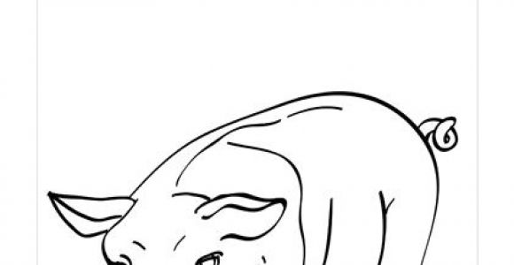 Coloriage D Un Cochon épinglé Sur Cochons