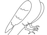Coloriage D Un Corbeau Corbeau 4 Animaux – Coloriages à Imprimer