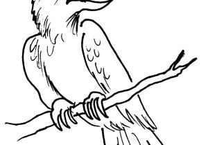 Coloriage D Un Corbeau Corbeau 6 Animaux – Coloriages à Imprimer