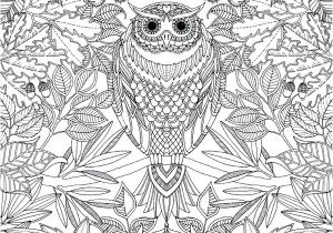 Coloriage D Un Jardin épinglé Sur Coloriages & Dessins