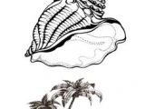 Coloriage D Un Palmier 20 Meilleures Images Du Tableau Coquillage
