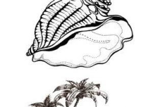Coloriage D Un Palmier 20 Meilleures Images Du Tableau Coquillage