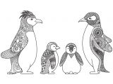 Coloriage D Un Pingouin Dessin De Pingouin Facile