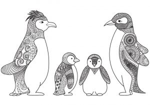 Coloriage D Un Pingouin Dessin De Pingouin Facile