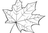 Coloriage D Une Feuille D Automne Dessin Coloriage Feuille Automne Pinterest