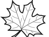 Coloriage D Une Feuille D Automne Dessin Coloriage Feuille Automne Pinterest
