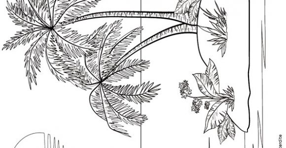 Coloriage D Une Ile Coloriage D’une île Et D’un Voilier Art & Craft