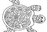 Coloriage D Une tortue Coloriage tortue De Terre